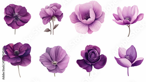 Purple flowers collection, isolated on white background, perfect for design projects and floral arrangements