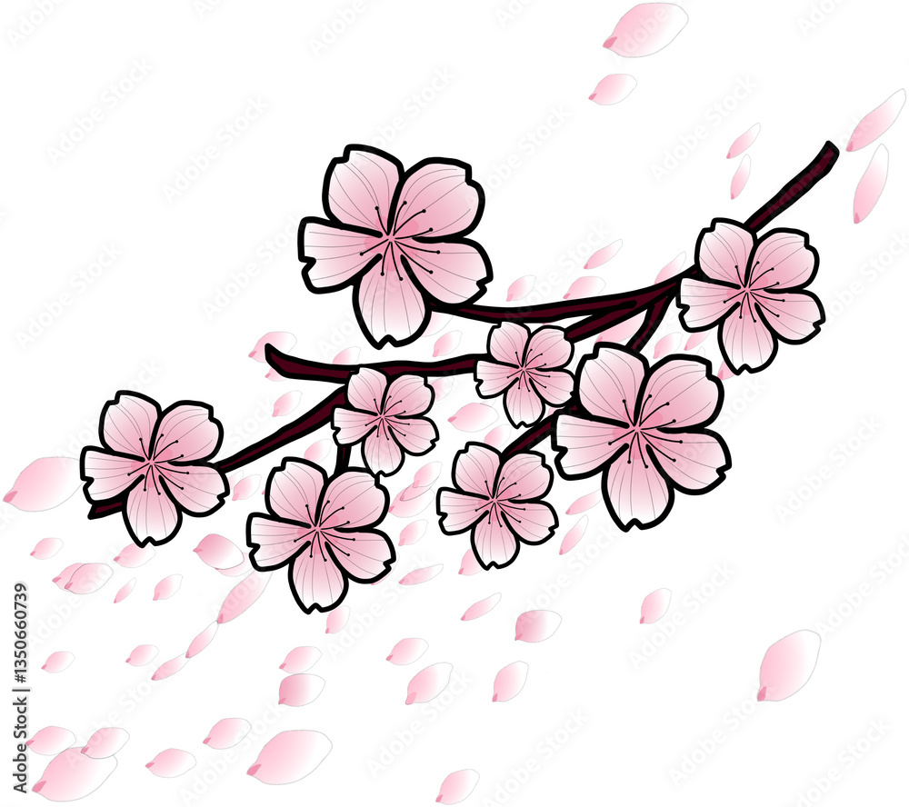 Fototapeta premium pink cherry blossom