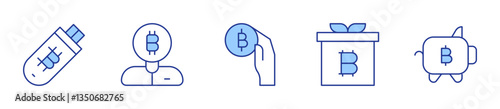 usb flash drive, investor, pay, present, piggy bank. Bitcoin Icon vector illustration. Line Duotone style. Editable stroke
