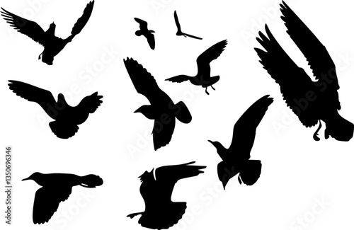 
black silhouettes of seagulls on white