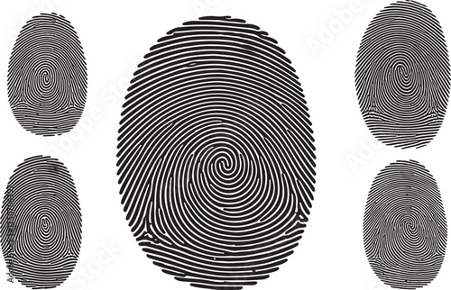 Fingerprint Silhouette - Identification and Security Symbol