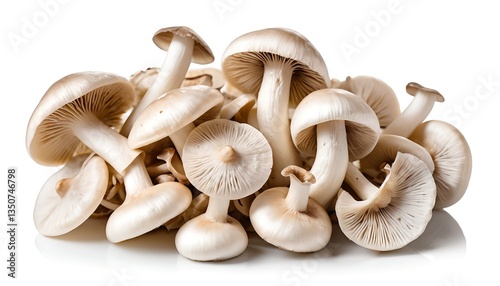 Fresh White Mushrooms