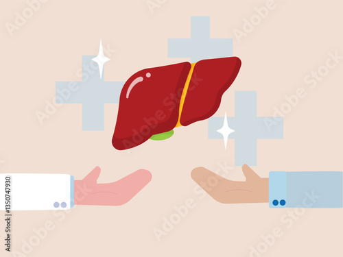 Liver doctor hand organ donation transplantation disease hepatitis medicine cirrhosis cancer vector illustration concept awareness treatment surgery anatomy diagnosis prevention inflammation support