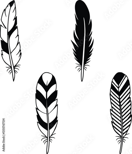 vector set of feathers illustration