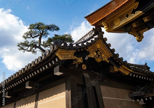 Tapety artystyczne 日本、京都、世界遺產、二条城、歴史、文化