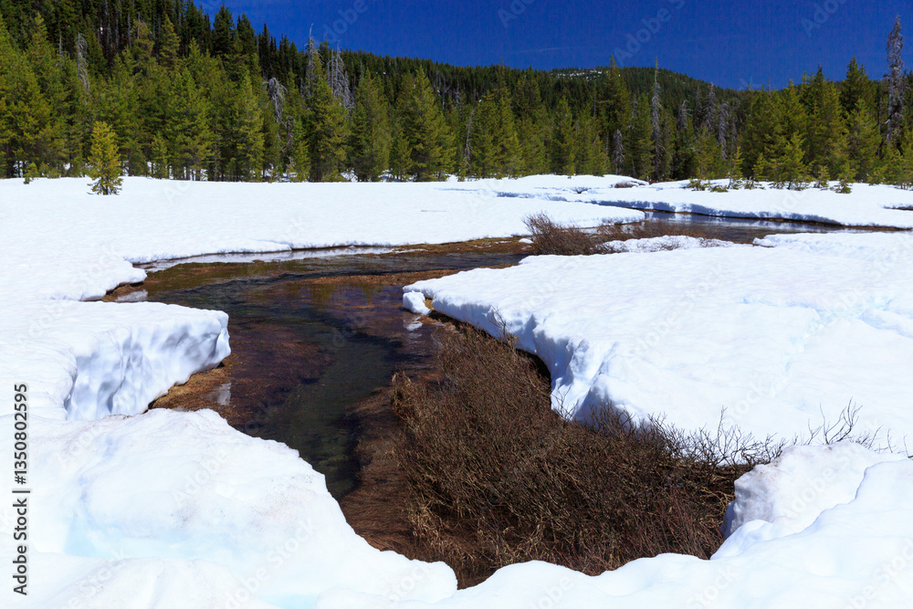 North America, United States, Oregon, Eastern Oregon, Cascade Lakes Highway, Sisters, Broken Top, Mt Bachelor, Todd Lake. Deschutes National Forest. Snow.