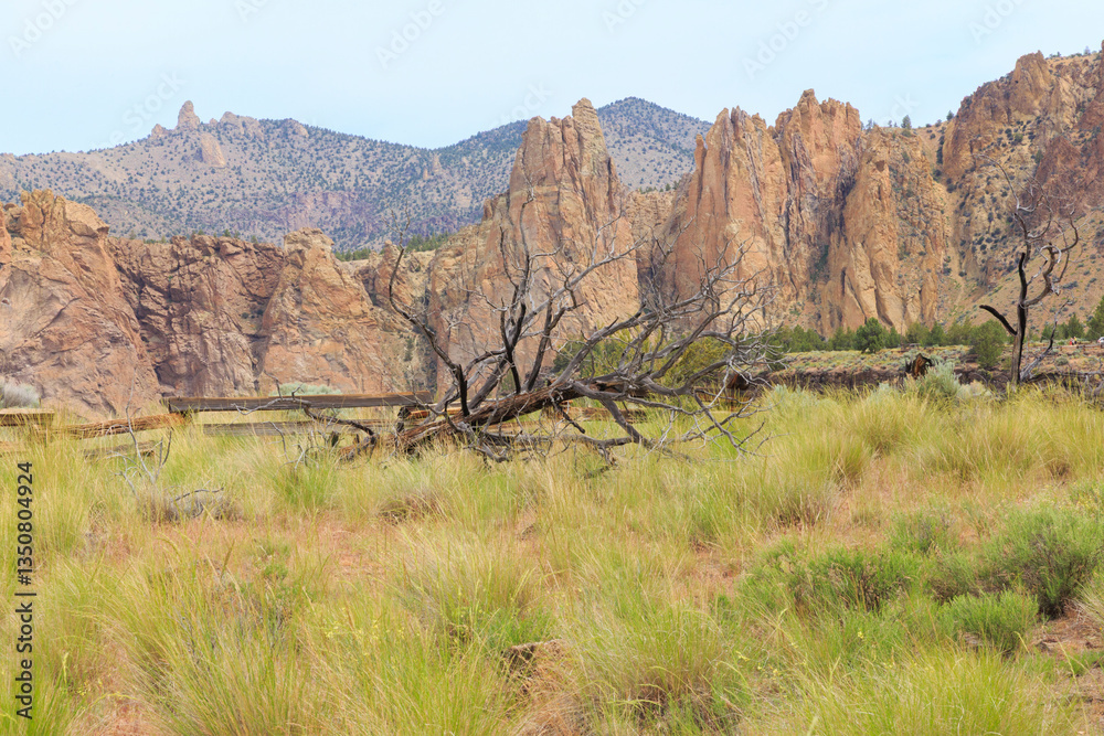 North America, United States, Oregon, Central Oregon, Redmond, Terrebonne, Oregon. Smith Rock State Park. Crooked River. High Desert. Basalt rocks and cliffs.