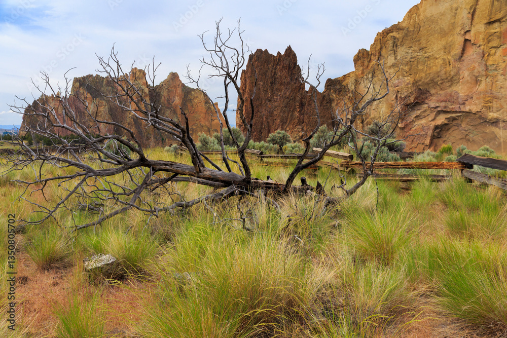 North America, United States, Oregon, Central Oregon, Redmond, Terrebonne, Oregon. Smith Rock State Park. Crooked River. High Desert. Basalt rocks and cliffs. Fence and dead trees.