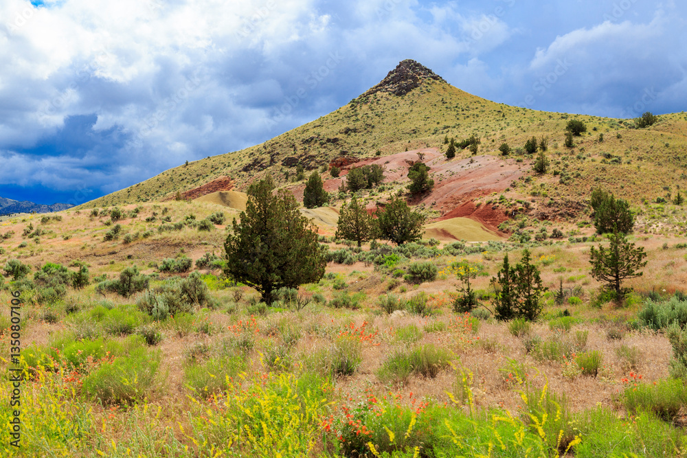 North America, United States, Oregon, Central Oregon, Redmond, Bend, Mitchell. Series of low clay hills striped in colorful bands of minerals, ash and clay deposits. Desert wildflowers.