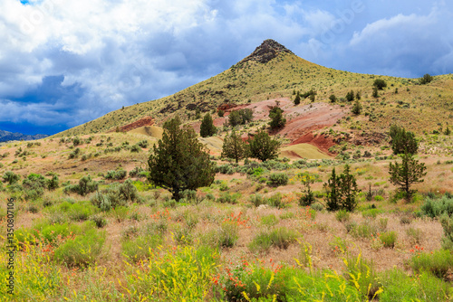 Obraz na płótnie North America, United States, Oregon, Central Oregon, Redmond, Bend, Mitchell. Series of low clay hills striped in colorful bands of minerals, ash and clay deposits. Desert wildflowers. w salonie