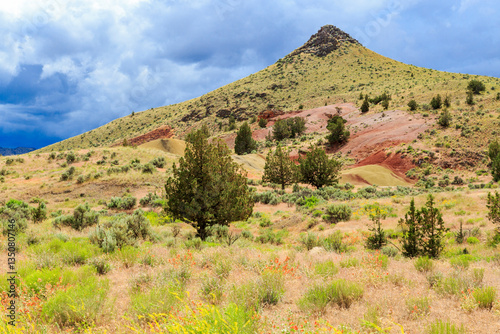 Obraz na płótnie North America, United States, Oregon, Central Oregon, Redmond, Bend, Mitchell. Series of low clay hills striped in colorful bands of minerals, ash and clay deposits. Desert wildflowers. w salonie