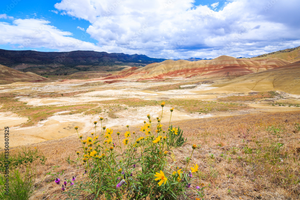 North America, United States, Oregon, Central Oregon, Redmond, Bend, Mitchell. Series of low clay hills striped in colorful bands of minerals, ash and clay deposits. Desert wildflowers.
