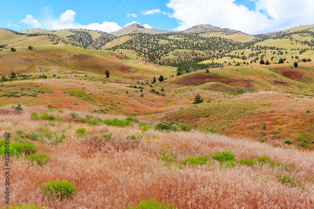 North America, United States, Oregon, Central Oregon, Redmond, Bend, Mitchell. Series of low clay hills striped in colorful bands of minerals, ash and clay deposits. Desert wildflowers.