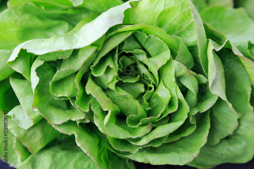 Obraz na płótnie North America, United States, Oregon, Central Oregon. The Bend Farmers Market. Butter lettuce leaves. w salonie