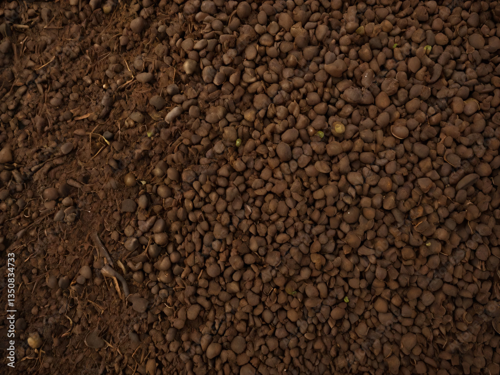 A rich layer of topsoil contains essential nutrients for thriving vegetation. A rich layer of topsoil contains essential nutrients for thriving vegetation.