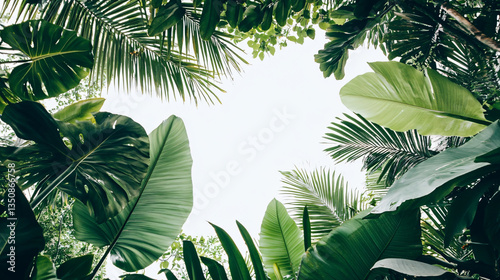 Lush tropical forest filled with abundant green leaves and vibrant plant life creating a rich and lively natural environment.