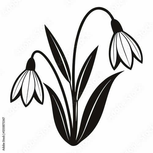 lily of the valley