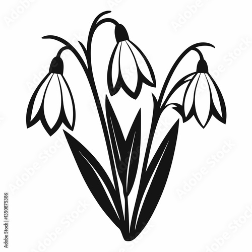 bouquet of snowdrops