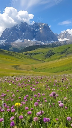 Wallpaper Mural Alpine meadow flowers, mountain range, sunny day, peaceful landscape Torontodigital.ca