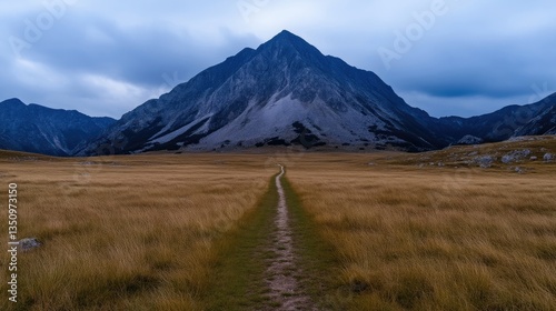 Mountain path through golden field