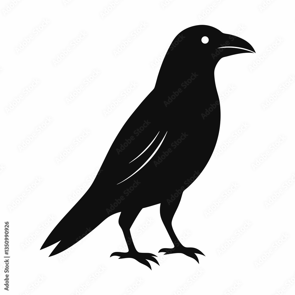crow on a white background crow on a white background