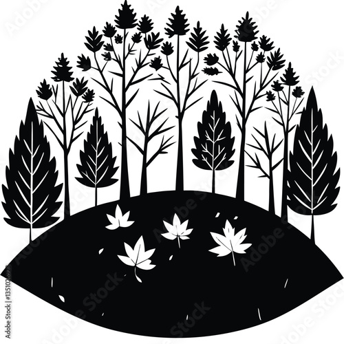 an autumn fore