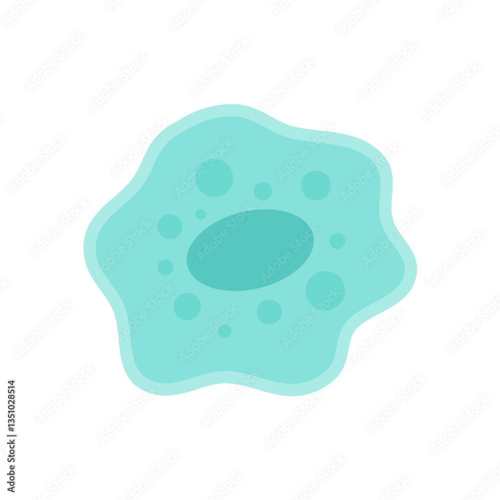 Apoptosis  cell.  Programmed cell death. Apoptotic bodies and phagocytosis. vector illustration.