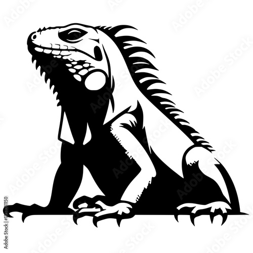 Silhouette of an iguana