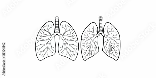 Print  Human lungs line art vector illustration isolated on white background