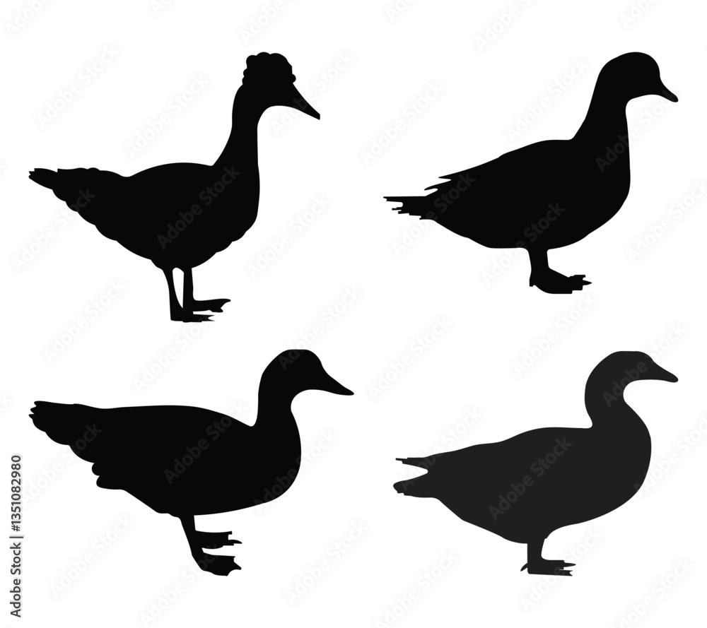 Fototapeta premium Black color duck silhouette vector illustration on a white background design. 