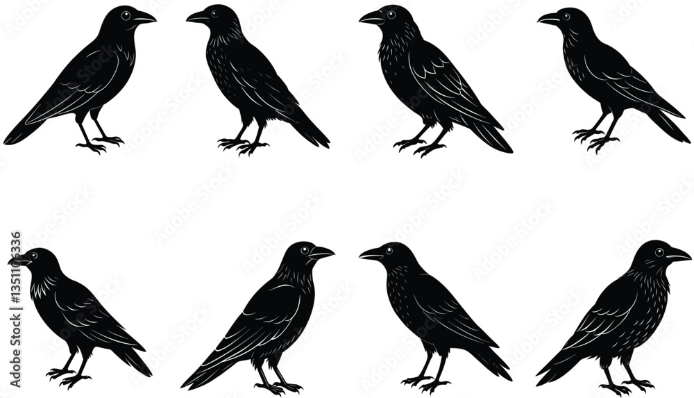 Fototapeta premium Crows Vector Shilhouette Bundle Set Collection
