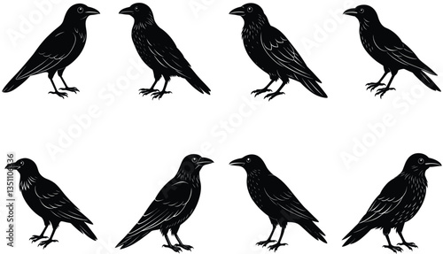 Crows Vector Shilhouette Bundle Set Collection