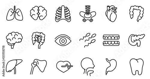 Human Body Line Editable Icons set. Vector illustration in modern thin line style of human anatomy icons: organs, body parts, skeleton parts, Pictograms and infographics for mobile. Isolated on white
