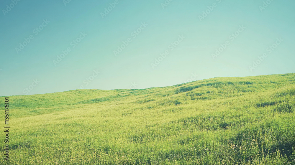 Serene rolling hills under a clear blue sky. Serene rolling hills under a clear blue sky.