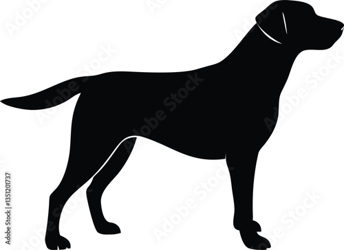Labrador Retriever Silhouette, Side View, Minimalist Black Design, Isolated On White