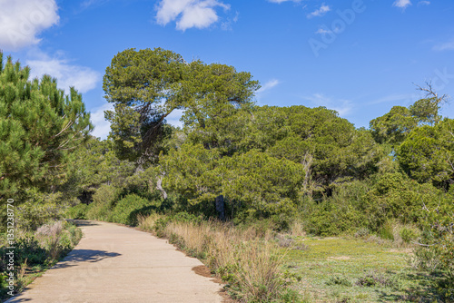 Obraz na płótnie park albufera valencia - Parc Natural de l'Albufera w salonie