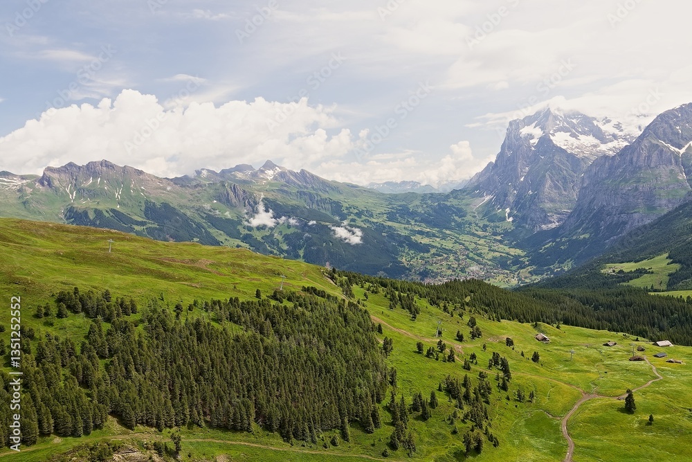 Fototapeta premium View from Kleine Scheidegg to Grindelwald village, Wetterhorn mountain 3,692 meters high and Bernese Alps. Switzerland. Europe.