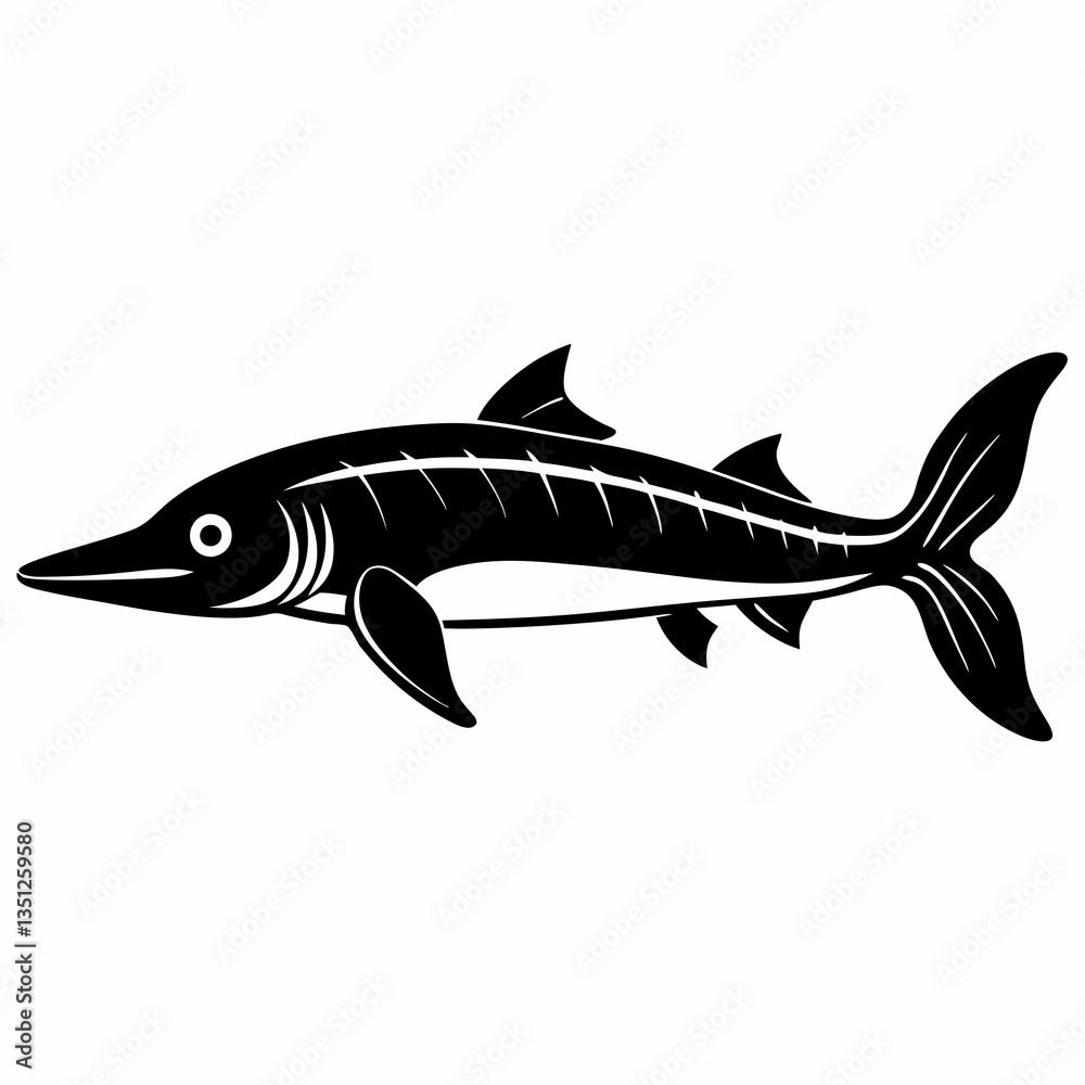 Russian Sturgeon Black Silhouette Vector on White Background Russian Sturgeon Black Silhouette Vector on White Background