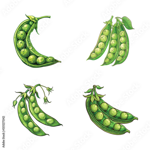 Peas Hand Drawn Doodle Icons isolated white background