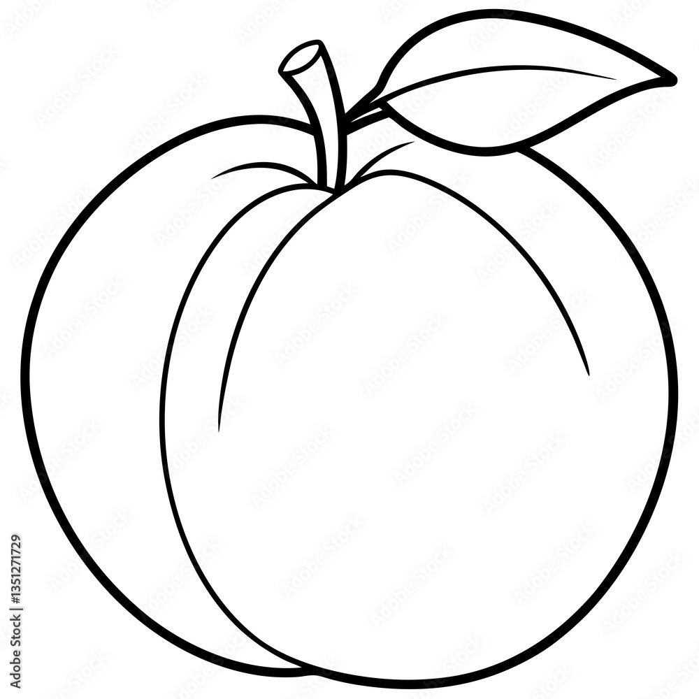 Peach Line Drawing in Minimalist Style, White Background Peach Line Drawing in Minimalist Style, White Background