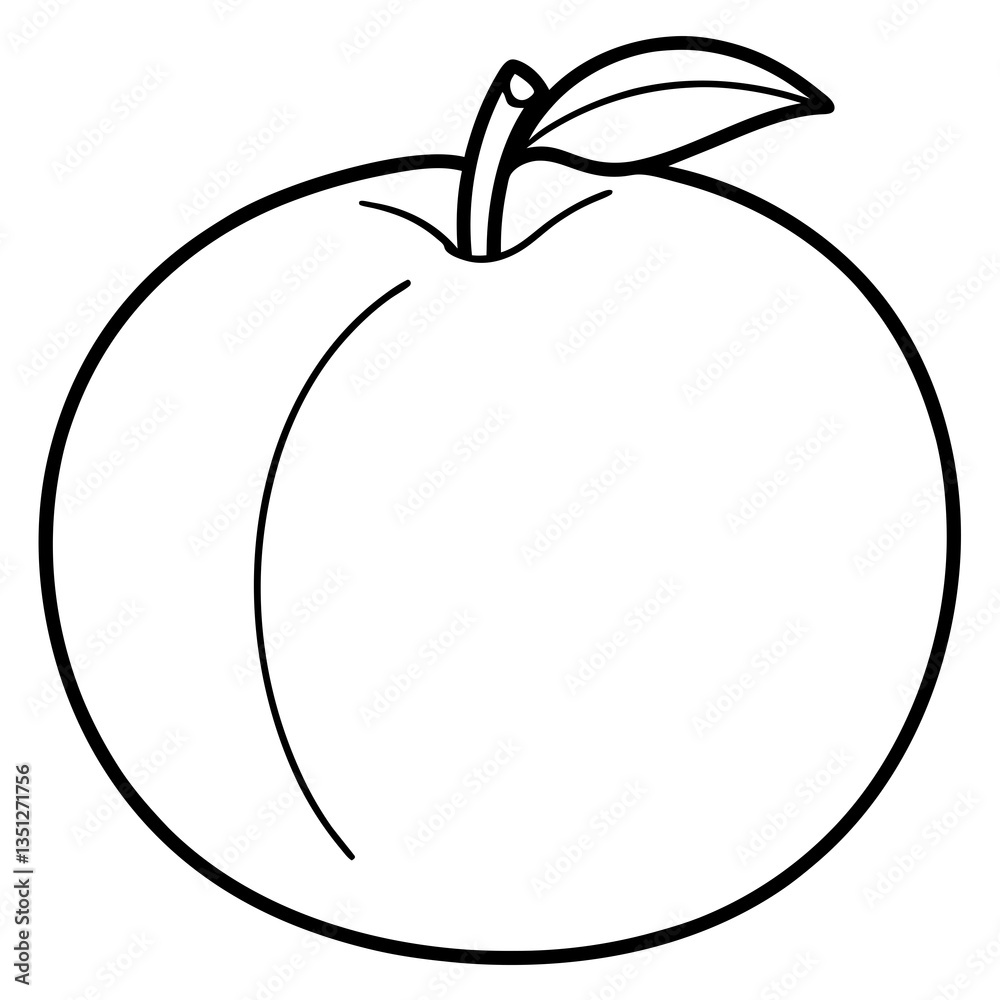 Peach Line Drawing in Minimalist Style, White Background Peach Line Drawing in Minimalist Style, White Background