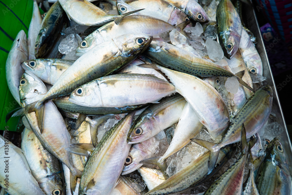Tuna seafood fish sell in local fishery market Tuna seafood fish sell in local fishery market