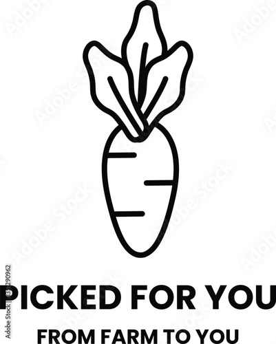carrot is drawn in a cartoon style and is labeled picked for you