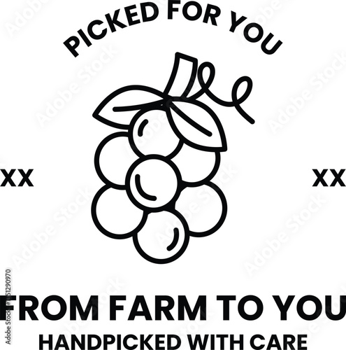 handpicked blueberry with a leaf