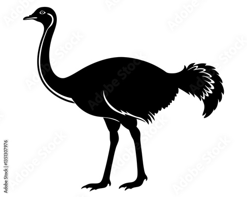 Ostrich silhouette vector illustration