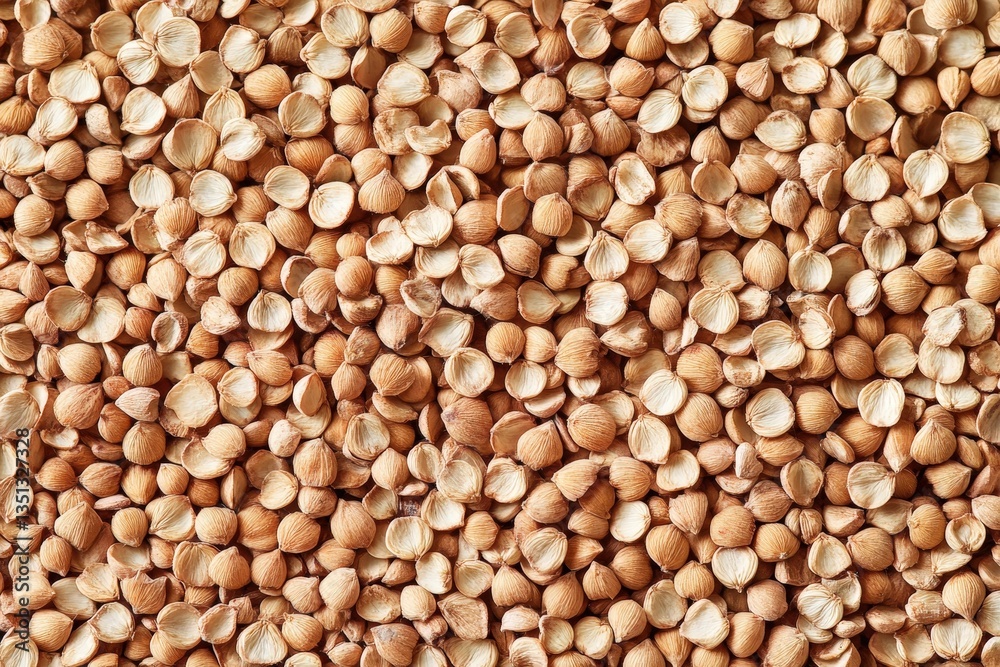 A close up of a scattered pile of beige seed husks A close up of a scattered pile of beige seed husks