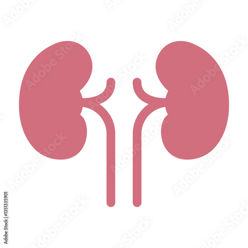 kidney sign symbol vector flat icon