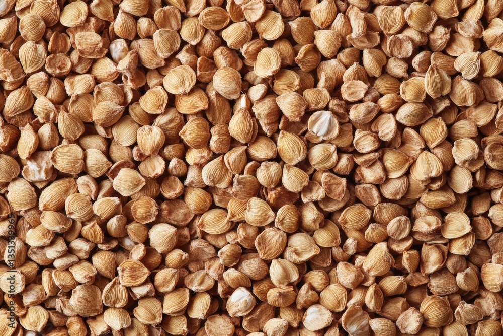 A close up image shows numerous dried apricot seeds A close up image shows numerous dried apricot seeds