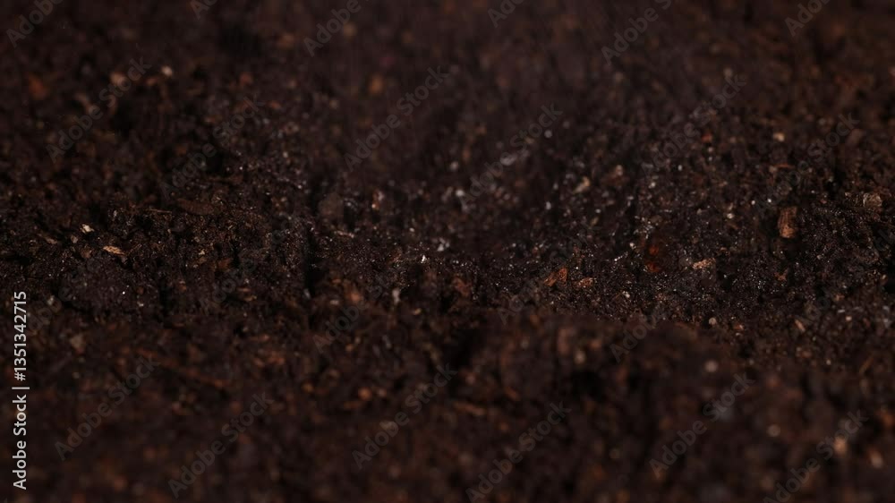 Planting Seeds and Watering Soil in Close-Up Planting Seeds and Watering Soil in Close-Up
