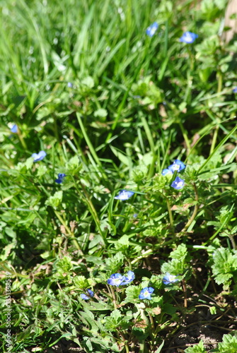 Natur